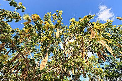 帝皇保佑 《战锤40K：星际战士2》销量突破700万