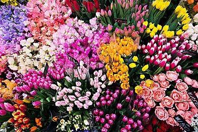 《GUNDAM 创坏者4》即将举行公开网络测试！